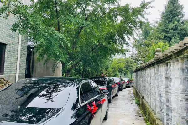 奔驰S级+奔驰E级车队