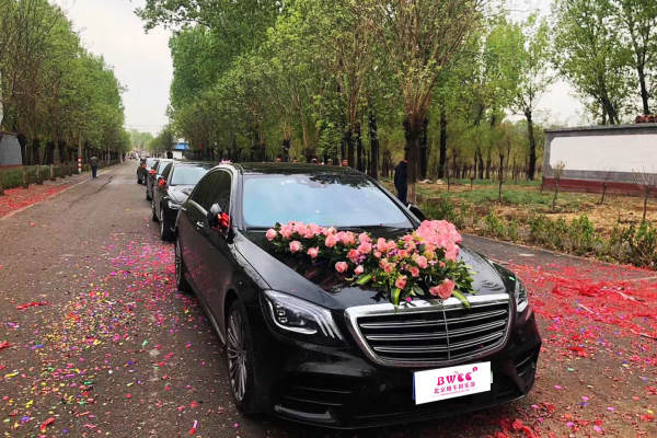 奔驰S级+奥迪A6L车队