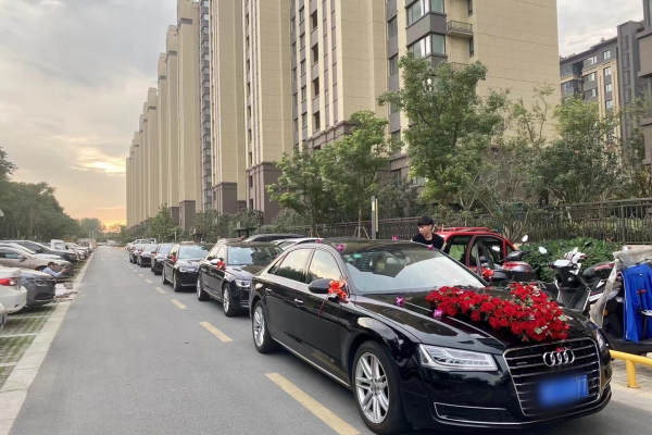 奥迪A8+奥迪A6L车队