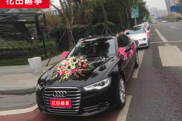 奥迪A6L+大众大众帕萨特或迈腾车队