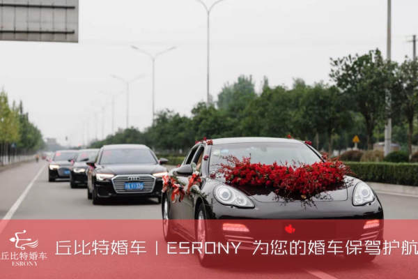 保时捷帕拉梅拉+奥迪A4L车队