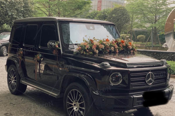 奔驰G500车队