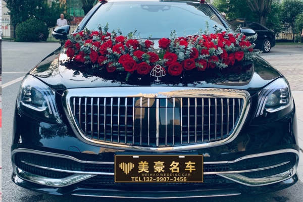 奔驰S级+马自达昂克赛拉车队