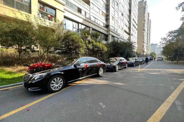 奔驰S级+奔驰E级车队