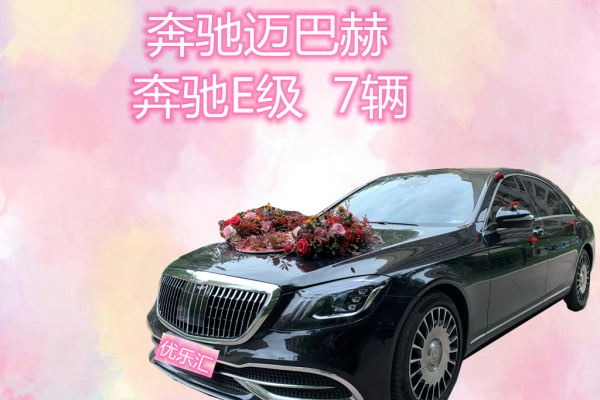 奔驰S级+奔驰E级车队