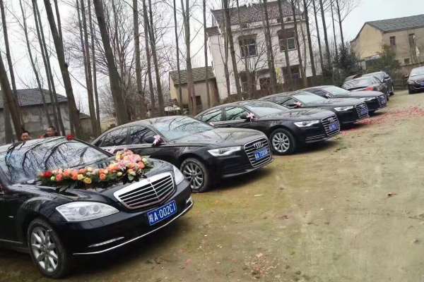 奔驰S级+奥迪A6L车队