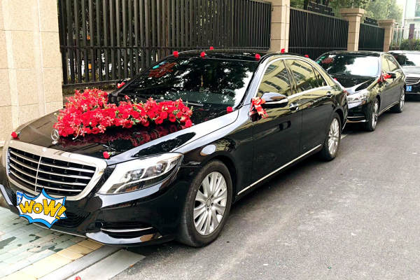 奔驰S级+奔驰E级车队