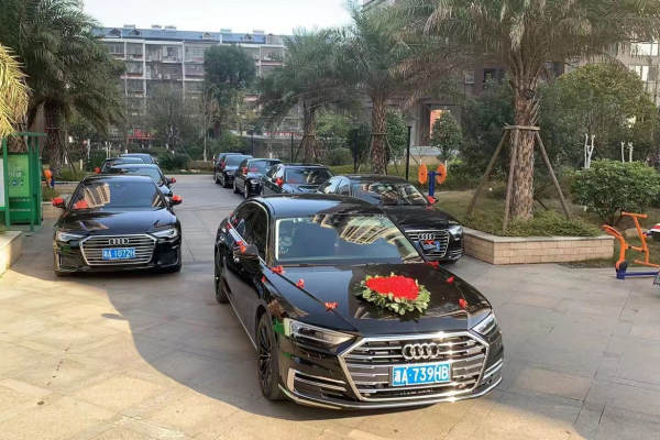 奥迪A8L+奥迪A6L车队