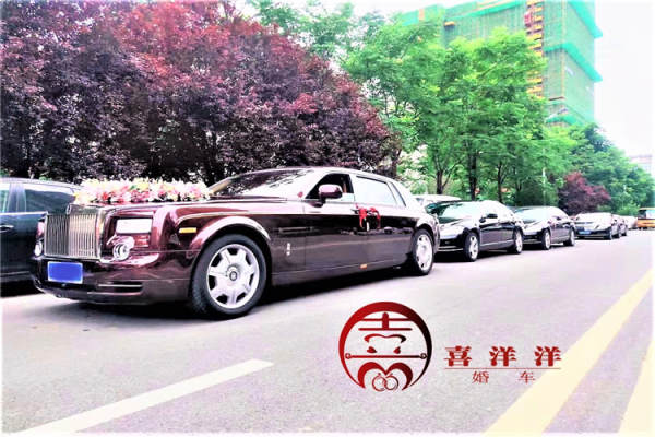 劳斯莱斯古思特+5 辆宝马/奔驰宝马7系/奔驰S级车队