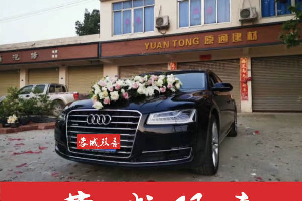 奥迪A8+奥迪A6L车队