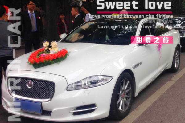 捷豹XLJ+奥迪A6L车队