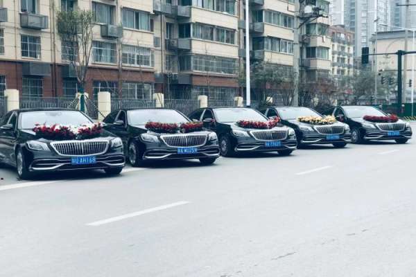 奔驰S级+奥迪A6L车队