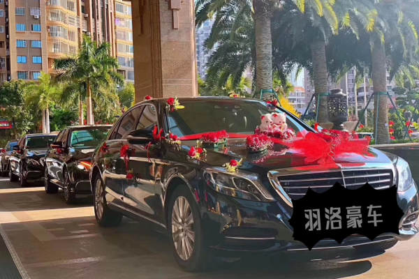 奔驰S级+5辆奔驰E级车队