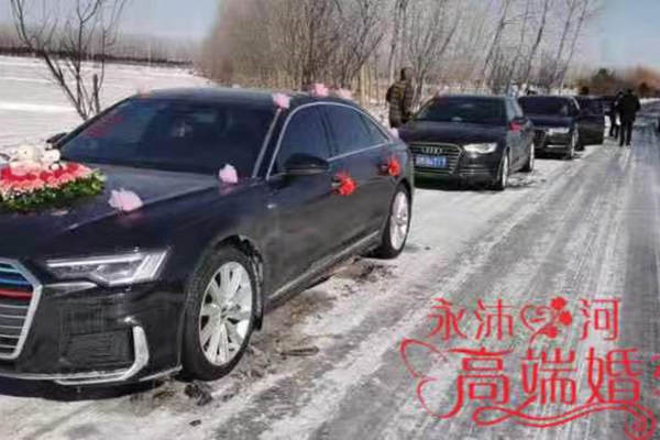 奥迪A6L+奥迪A6L车队