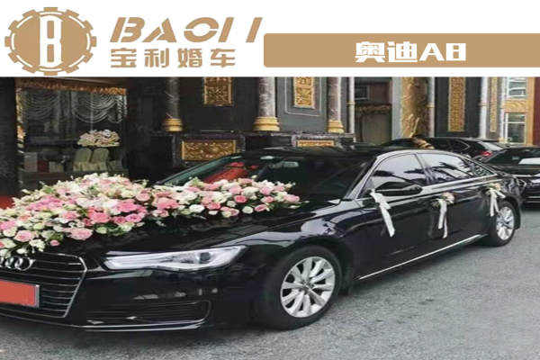 奥迪A8+5 辆奥迪A6车队