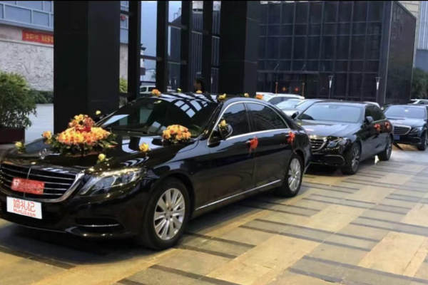 奔驰S级+奔驰E级车队