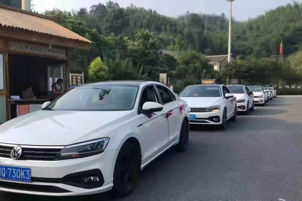 大众零度+大众零度车队