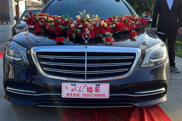 奔驰S级+奔驰E级车队