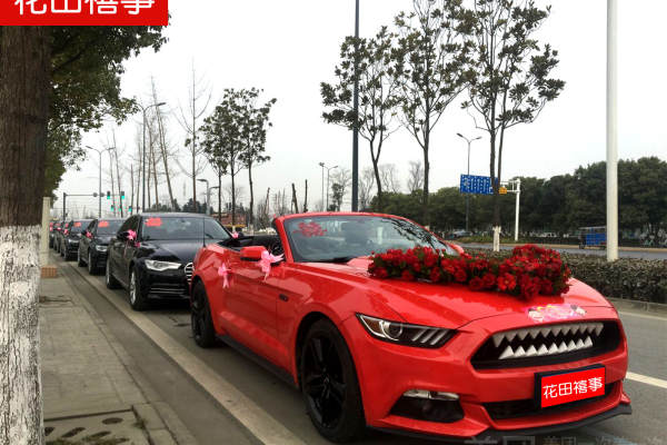 福特Mustang敞篷+宝马3系车队