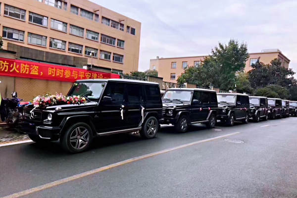 奔驰S级+奔驰E级车队