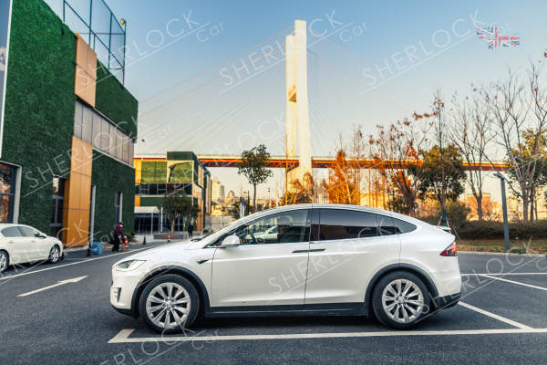 特斯拉MODELX+奥迪宝马奔驰特斯拉车队