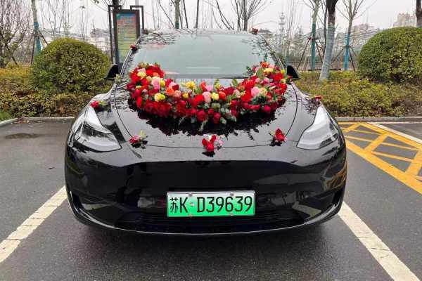 特斯拉MODELX+特斯拉MODELX车队