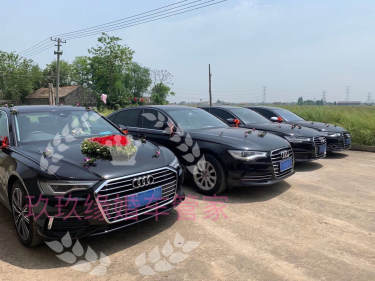 奥迪A8+3辆奥迪A6L车队