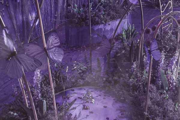 Week Garden
