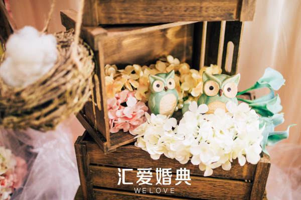 兔子和狐狸的爱恋