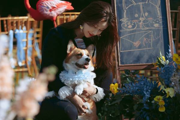 一场婚礼离不开一个团队的合作我们这次草坪婚礼新人没有合适的伴