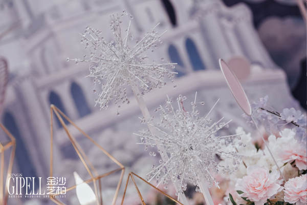 PURPLE·森林梦境