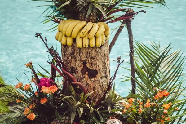夏了夏天