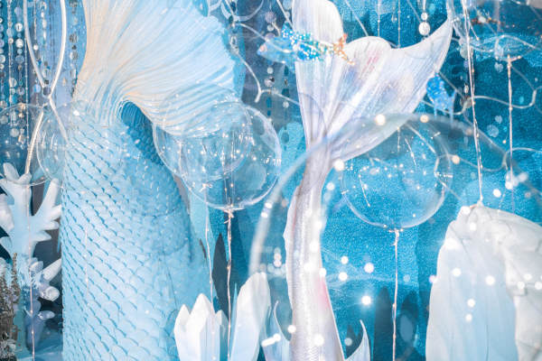 求婚|像海豚依赖着海洋