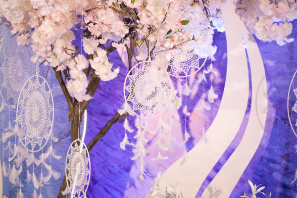 蝶舞花间
