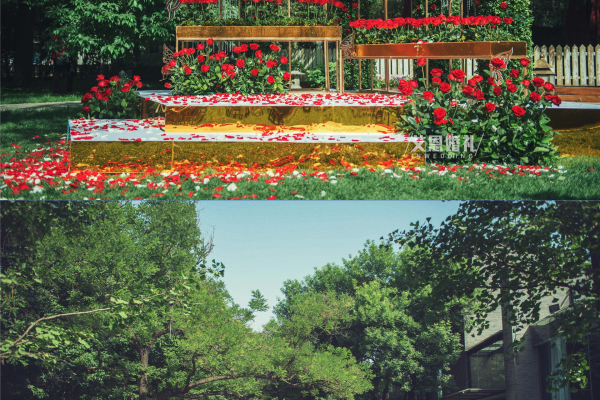 ‭盛夏白瓷梅子汤，碎冰碰壁当啷响把我们的婚礼酿成一杯玫瑰色的