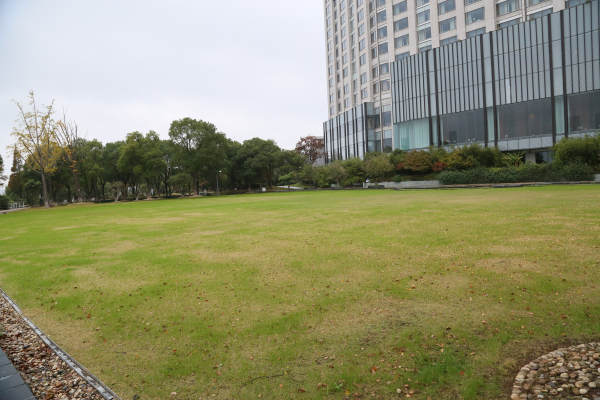 户外草坪