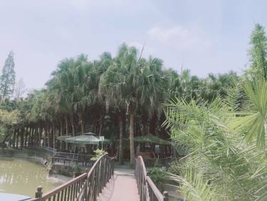 情话我是抄的，但爱你是真的❤️