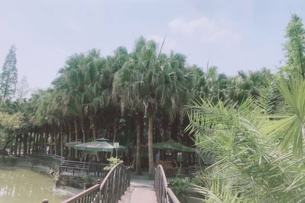 情话我是抄的，但爱你是真的❤️