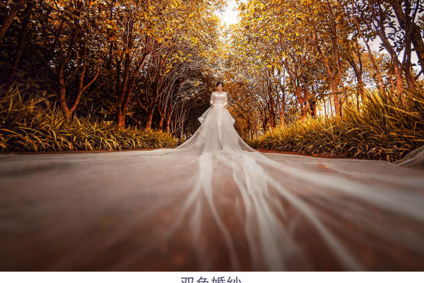 【双色】3180元套系