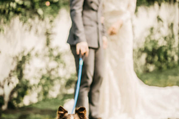 【WHITEWEDDING】12888元套系