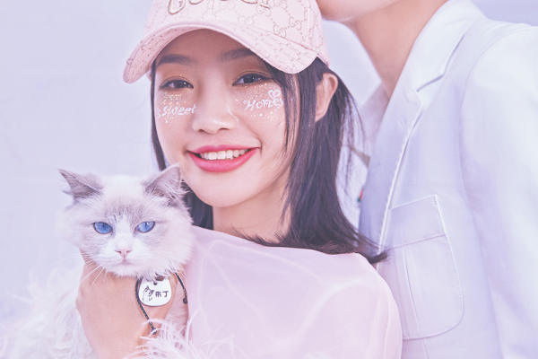 猫来啦