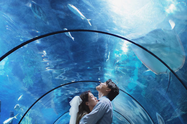 青春系列丨水族馆