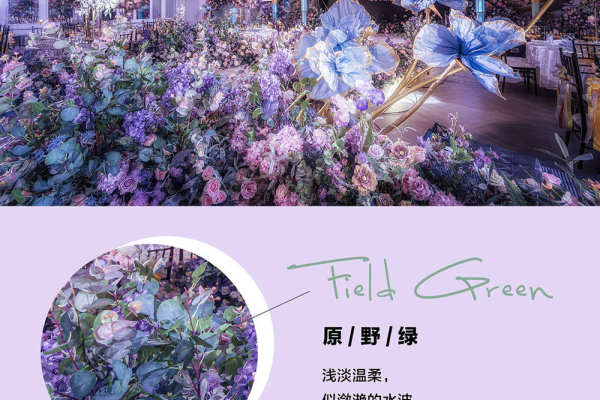 伊丽丝秘境