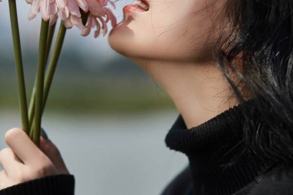 写真系列2