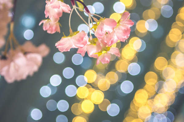 蒂芙尼蓝