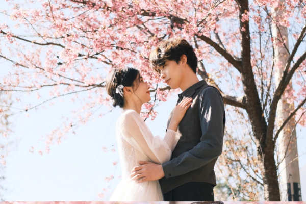 樱花海婚纱照