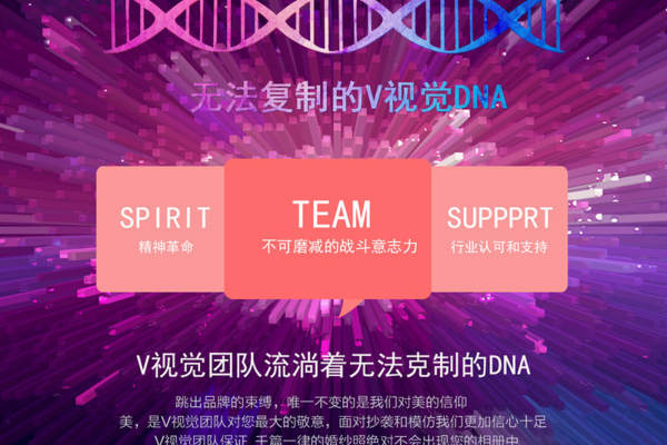 一分钟了解V视觉