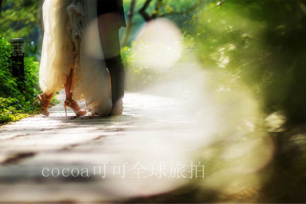 【大旅行家Ⅲ】