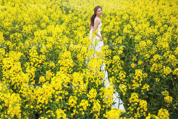 花海