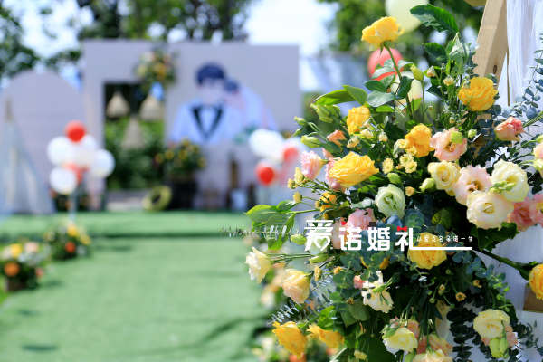 户外小清新韩式草坪婚礼